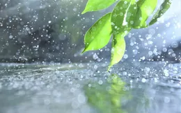 Infographic: Phòng ngừa cảm lạnh trong mùa mưa