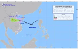 Bão số 6 đi vào đất liền chiều tối 30/8, gây mưa lớn