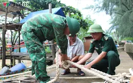 Thủ tướng Chính phủ yêu cầu tập trung ứng phó bão số 6