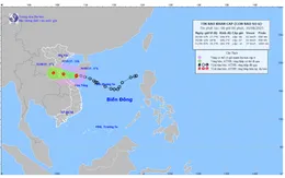 Áp thấp nhiệt đới đã mạnh lên thành bão