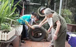 Cả nước đã ghi nhận hơn 65 nghìn ca sốt xuất huyết, 11 ca tử vong