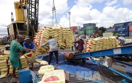 Việt Nam đã xuất khẩu gần 5,9 triệu tấn gạo