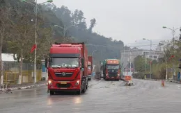 Lạng Sơn: Hơn 6.000 phương tiện vận chuyển hàng xuất khẩu thông quan dịp lễ