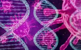 Hy vọng điều trị ung thư nhờ “virus ẩn” trong DNA người