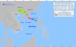 Bão số 7 giật cấp 13, di chuyển theo hướng Tây Bắc