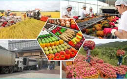 Xuất khẩu nông nghiệp bứt phá và bài toán chuẩn quốc tế mới