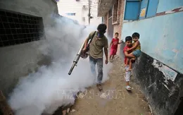 Bangladesh đối mặt nhiều bệnh truyền nhiễm do muỗi