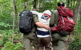 Giải cứu 4 du khách bị lạc trong rừng ở New York vì dùng nấm ảo giác