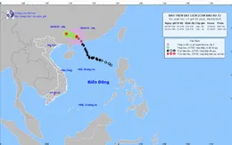Bão số 7 giật cấp 10 ở trên đất liền tỉnh Quảng Đông (Trung Quốc)