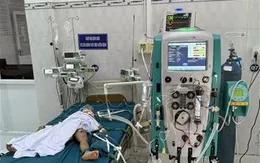 Ba trẻ bị ong vò vẽ đốt, một trường hợp tử vong