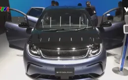 Doanh số xe năng lượng mới Trung Quốc chững lại