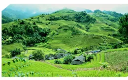 Nông nghiệp tuần hoàn giúp nông sản Việt Nam giữ lợi thế cạnh tranh