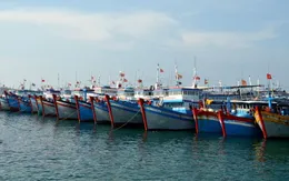 Các địa phương phải báo cáo chống khai thác bất hợp pháp trước 15/9