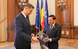 Thúc đẩy quan hệ hữu nghị truyền thống và hợp tác tốt đẹp giữa Việt Nam và Romania