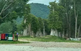 Khởi tố, bắt giam Chi cục trưởng Chi cục Kiểm lâm tỉnh Gia Lai cùng nhiều cán bộ