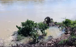 Sạt lở nghiêm trọng ven sông Krông Nô (Lâm Đồng)