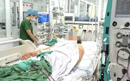 Nhiều ca sốt xuất huyết Dengue nguy kịch