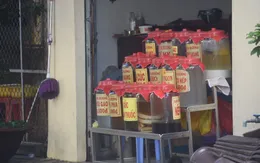 Cảnh báo ngộ độc methanol từ rượu ngâm, rượu tự pha