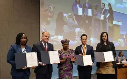 Việt Nam chính thức phê chuẩn Hiệp định Trợ cấp Nghề cá của WTO