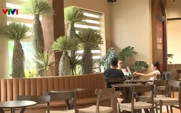 Nhà hàng, quán cà phê Hà Nội giảm rác thải nhựa, tăng không gian xanh