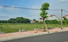 Hà Nội siết kỷ cương đấu thầu: Xử lý nghiêm vi phạm, đẩy mạnh minh bạch