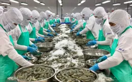 Xuất khẩu thủy sản Việt Nam: Chủ động ứng phó, nâng chuẩn để giữ vững thị trường