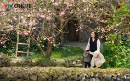 Bác bỏ thông tin sai sự thật về giá dịch vụ du lịch tại thôn Lô Lô Chải