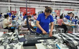 Tạo đà bằng cải cách pháp lý và đổi mới thể chế để kinh tế tư nhân "cất cánh"