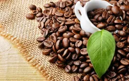 EVFTA: Cơ hội vàng cho hàng Việt vươn xa