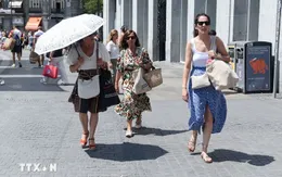 Khoảng 16.500 ca tử vong do nắng nóng ở châu Âu