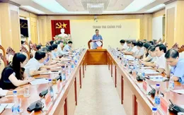 Thanh tra Chính phủ phát hiện 352 vụ việc tham nhũng trong 5 năm