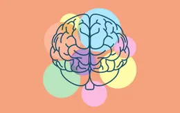 Chăm sóc bộ não của bạn như thế nào?