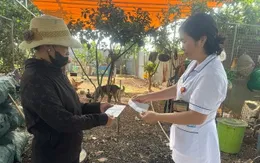 Gần 26.000 người phơi nhiễm với bệnh dại được điều trị dự phòng