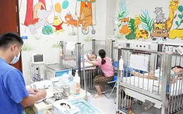 Ong đốt: Một trẻ tử vong ngay khi đến cơ sở y tế, hai trẻ đang được điều trị tích cực