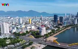 Đà Nẵng mở lại tuyến tham quan bán đảo Sơn Trà