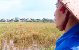 Nhiều hộ dân xã Quảng Oai (Hà Nội) chưa nhận được hỗ trợ thiệt hại sau bão