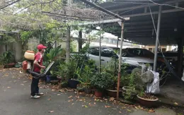 TP Hồ Chí Minh: Thêm hơn 2.100 ca sốt xuất huyết vừa được ghi nhận