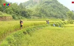 Gian nan lấy nước sinh hoạt ở vùng cao Lào Cai