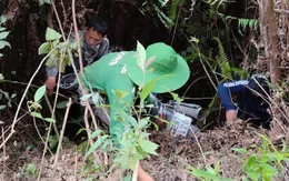 Giải cứu thành công 2 du khách rơi xuống vực sâu ở Lào Cai