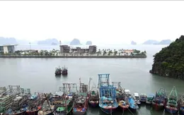 Quảng Ninh phải hoàn tất công tác phòng, chống bão trước 17h ngày 24/9