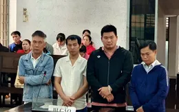 Sử dụng hóa chất độc hại sản xuất hàng tấn giá đỗ, 4 bị cáo lĩnh án