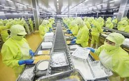 Thủ tướng chỉ thị các nhiệm vụ, giải pháp thúc đẩy xuất khẩu, phát triển thị trường ngoài nước