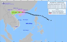 Bão số 9 giảm cấp, cách Móng Cái (Quảng Ninh) 375 km