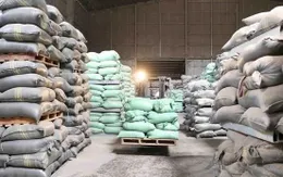 Hoàn thành kế hoạch đấu thầu 200.000 tấn gạo dự trữ quốc gia