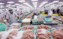 Nhiều ngành hàng xuất khẩu gấp rút gỡ khó