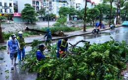 Ứng phó bão số 9: Hà Nội kích hoạt cao nhất các phương án phòng, chống