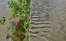 Phát hiện hai thi thể nam, nữ dưới ao nước