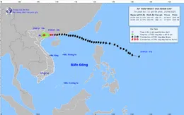 Bão Ragasa suy yếu thành áp thấp nhiệt đới