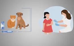 Infographic: Bệnh dại và các biện pháp phòng bệnh