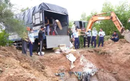 Quảng Trị: Tiêu hủy hơn 5,3 tấn thực phẩm vi phạm hành chính